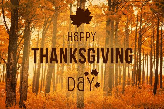 Thanksgiving text against woodland