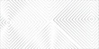 © JANNATULFERDOUS - Abstract vector gray and black line pattern transparent monochrome striped background design. futuristic geometric shape realistic lines. simple modern triangle stroke grid line background.