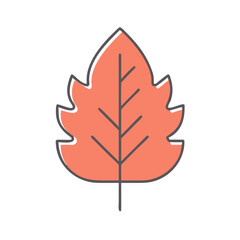 Poster - Stylized Leaf Illustration with Warm Color Palette and Minimalist Design