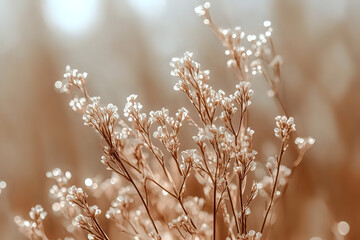 Poster - Delicate white baby's breath flowers against soft sepia background with dreamy bokeh effect, creating romantic and ethereal mood for wedding and floral designs.