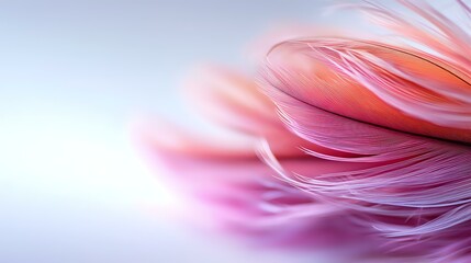 Poster - Soft pink and coral feathers create delicate layered texture against light blue background, with gentle blur effect adding dreamy atmospheric mood.