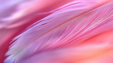 Poster - Delicate pink and purple feather macro shot on soft gradient background showing intricate barb details and ethereal lighting effects. Suitable for wellness and spa designs.