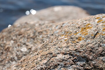 Poster - A close-up shot of a rock near the water's edge, perfect for nature-inspired designs