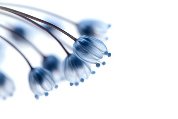 Poster - Delicate blue floral stems with soft buds against white background, creating ethereal and dreamy botanical composition with selective focus and shallow depth of field.