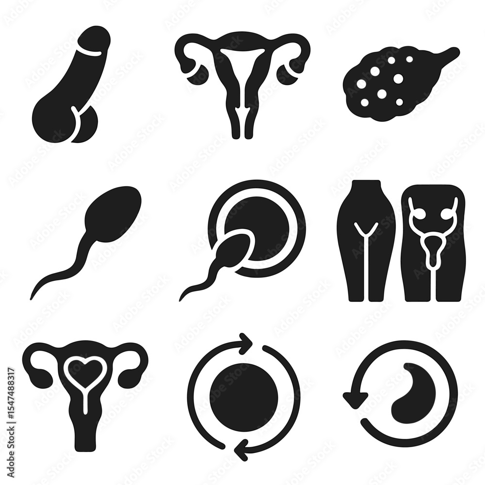 Better Reproductive System Icon Reproductive System Icons. Solid vector icons of reproductive system ...