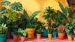 © Sarvana - A vibrant plant nursery with tropical plants in decorative pots