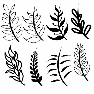 collection of simple hand-drawn vector leaves in black and white, isolated botanical elements with clean lines and various abstract shapes, mix of outline and solid fill styles, minimal flat design