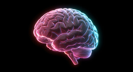 Poster - Human brain illuminated with blue and pink light and flowing data on black background. Concept of artificial intelligence and science.