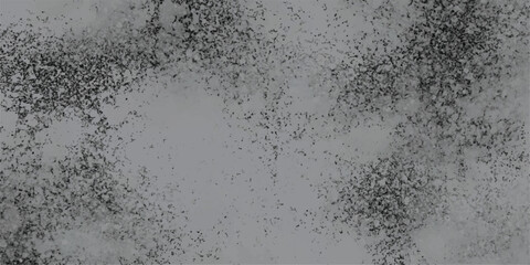 Poster - Abstract textured background in grayscale featuring an overlay of small dark shapes suitable for digital design