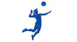 © Leon - Isolated Volleyball Player Silhouette