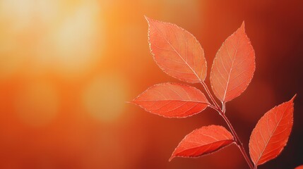 Poster - Vibrant Crimson Leaves Against a Warm Orange Background in Autumn Season with Soft Bokeh Effect