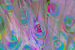© SundGo - Reference Image, Pfau grafisch
