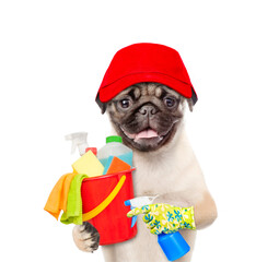 Poster - Cleaning concept. Funny Pug puppy dog wearing blue cap holds spray and bucket with washing fluids  in it paws. isolated on white background