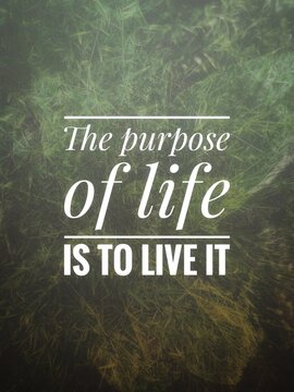  Simple yet powerful inspirational quote about embracing life fully. Ideal for motivational visuals, lifestyle content, and personal growth designs.