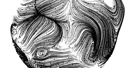 Poster - High-resolution black and white image of abstract swirling lines. Perfect for backgrounds or design elements.