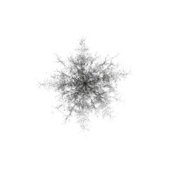 Poster - Intricate Snowflake Pattern on Black Background Captured in High Detail for Winter and Holiday Concepts Transparent background or png