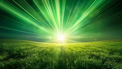 Wall Mural - starburst background sunbeams going in all directions green an