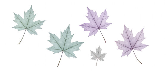 Poster - Delicate leaves various pastel shades of green and purple, showcasing intricate details and textures, evoke sense of tranquility and nature beauty
