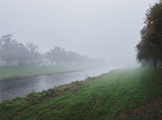 Wall Mural - foggy day with a river running through a grassy area