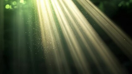 Poster - Sunlit beams through Forest: A serene view of sunbeams gracefully piercing through the foliage in a dense forest.