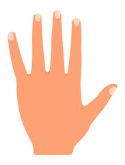 Poster - Cartoon open hand displaying five fingers against a white background, symbolizing the number five for counting, voting, greeting, or expressing communication gestures
