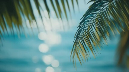 Aufkleber - Palm leaves in the foreground and the sparkling sea with the sun's reflection in the background. Perfect for a summer vacation.