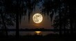 © Vicky - Full Moon Silhouetted by Trees Over Still Water at Dusk