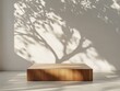 © Uang - high definition picture of Minimalist product placement on an aesthetic wooden podium in an empty room complemented by a serene minimalistic tree shadow high detail 8k
