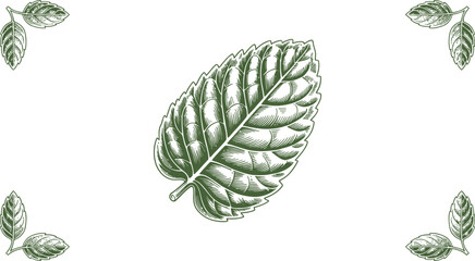 Aufkleber - Illustration of a single green leaf with four smaller leaf clusters in each corner of the image