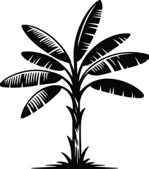 Aufkleber - A black and white illustration of a banana tree with large leaves on a white background vector art