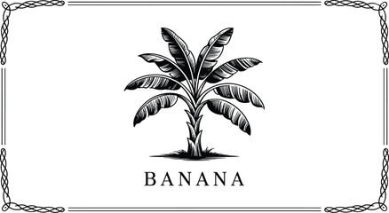 Aufkleber - Illustration of a banana tree with detailed leaves inside a decorative border on a white background