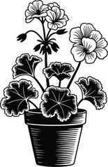 Aufkleber - A black and white illustration of a geranium plant in a pot with detailed leaves and flower blossoms