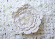 © Mila - digital photography background flower for newborn and baby. Selected focus.