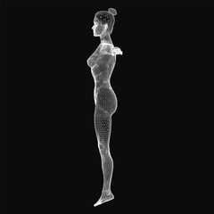 Poster - Wireframe woman standing in a neutral pose, showcasing a digital 3D model with clean geometric lines. The transparent mesh structure highlights anatomical details, perfect for tech and design.