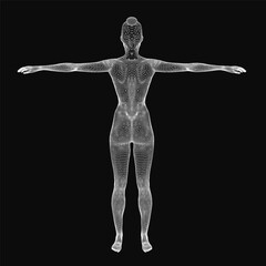 Poster - A 3D wireframe model of a woman's body with arms outstretched, showcasing detailed anatomical structure against a black background. The digital rendering highlights skeletal and muscular contours.