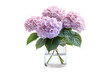 © nroy-ai - hydrangeas flowers in a glass vase isolated on a transparent background