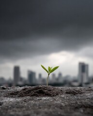 Poster - Urban Sustainability Concept with Small Seedling Emerging from Soil Against Dramatic Stormy Skyline for Environmental Policy and Green Business