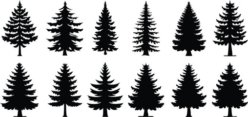 Set of Pine Tree Silhouettes Vector Collection,set of different tree silhouette vector,Pine tree vector silhouette,silhouette black color vector,pine tree forest silhouette,illustration,Ai
