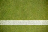 Thick horizontal white painted line is running across green grass turf in flat vector illustration