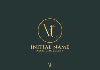 Poster - Letter Vt Beauty Logo with Flourish Ornament Luxury	