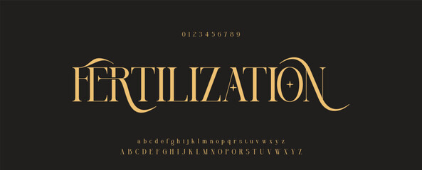 Poster - Elegant alphabet letters font logo classic minimal fashion designs. Typography modern sans fonts and number for logo brand. vector illustration
