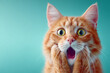 © Anzt Motion - Funny shocked ginger cat with big green eyes. Surprised domestic pet portrait on a blue background.