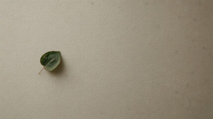 Poster - Single leaf resting on a light beige surface.