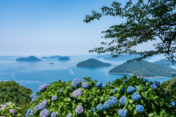 Wall Mural - 紫陽花咲く紫雲出山の景色