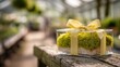 © Marina - Eco friendly seed embedded gift box with living moss bow on a softly blurred greenhouse bench background