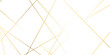 © Arte Acuático - Abstract gold lines on transparent background. random chaotic lines abstract geometric patterns of modern design. geometric design created using light colorful digital net web line technology.