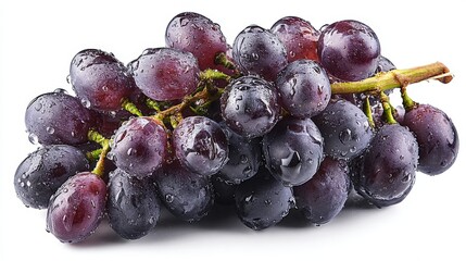 Poster - Close-up of ripe dark purple grapes with water droplets on lush vine bunch