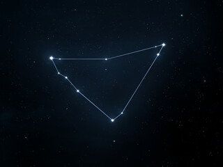 Wall Mural - capricornus constellation in the starry night sky. zodiac sign. astrological image.