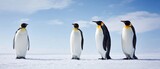 The majestic gathering of emperor penguins in a snowy landscape