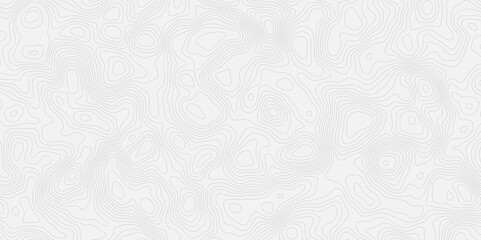 Poster - surface contour map line  simple white background with subtle texture creating a clean and minimalist aesthetic design element.